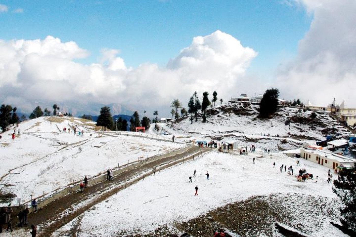Shimla Family Holiday