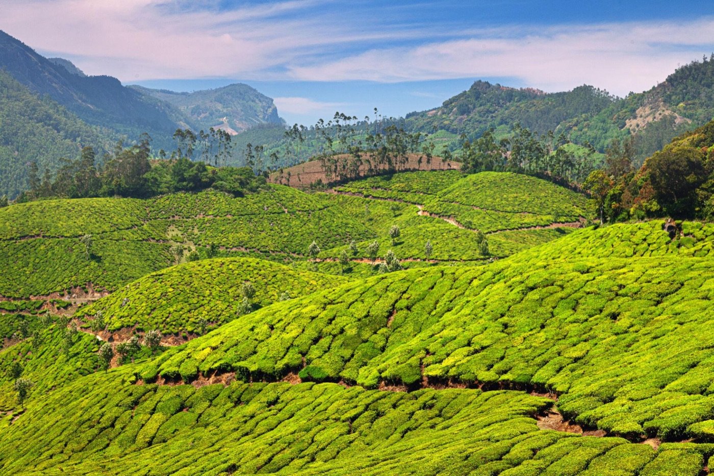 Kerala tour