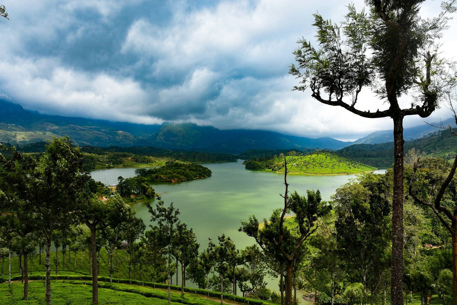 Lush green tea hills and a calm lake in Munnar, Kerala