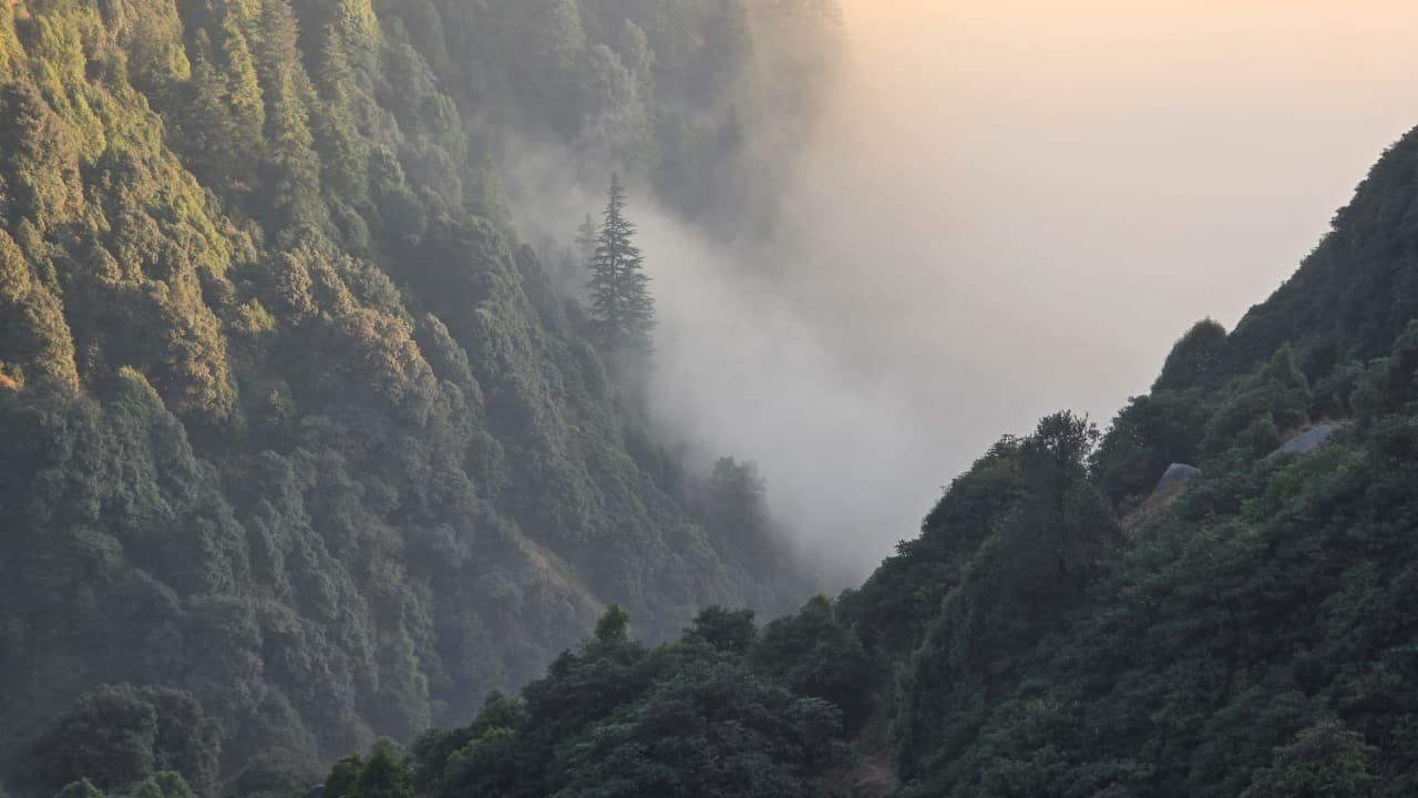 Spiritual Journey to Dharamshala photo 2